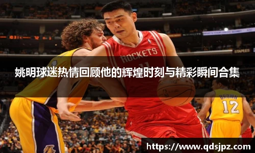 姚明球迷热情回顾他的辉煌时刻与精彩瞬间合集